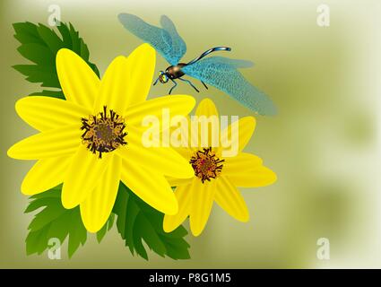 yellow flowers and dragonfly on green background Stock Vector