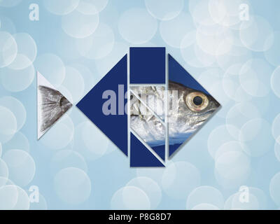 Fish-shaped figure created with the pieces of the game Tangram. Stock Photo