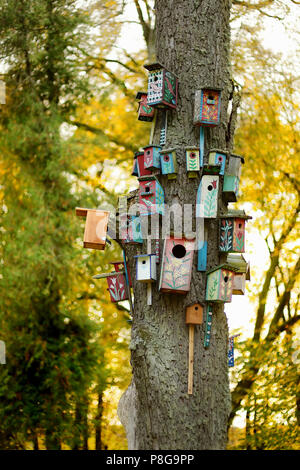 Lots of colorful nesting boxes on a tree Stock Photo