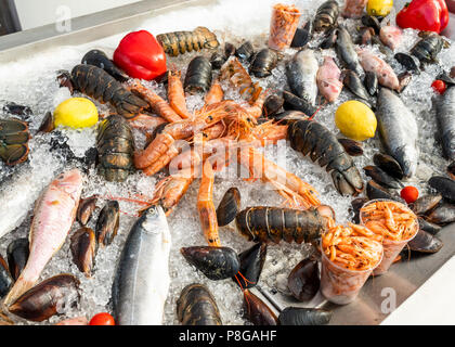 counter with seafood shrimp and crawfish with fish Stock Photo