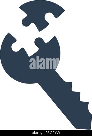 Solution Key Icon Stock Vector
