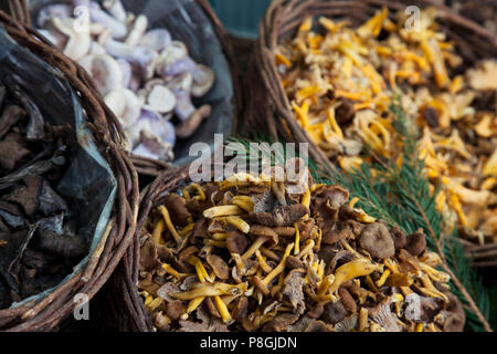 Mixed Mushrooms in wicker baskets on market stall Stock Photo