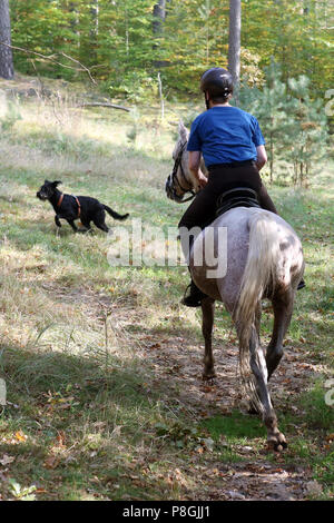 Zernikow, wife meets a free-running dog during a ride in the woods Stock Photo