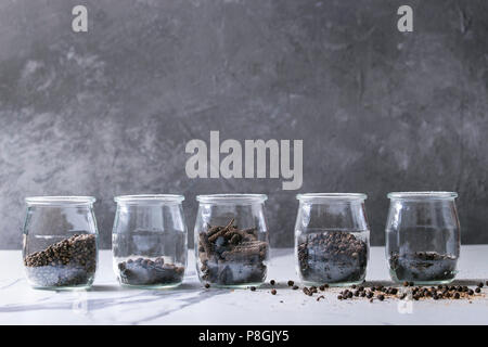 Variety of different black peppers allspice, pimento, long pepper, monks pepper, peppercorns and ground powder in glass jars on white marble kitchen t Stock Photo