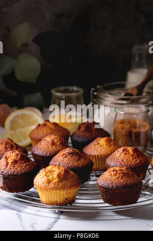 Fresh baked homemade lemon cakes muffins standing on cooling rack with eucalyptus branch and ingredients above over white marble kitchen table. Stock Photo