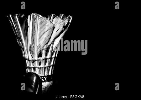 SHUTTLECOCK Stock Photo
