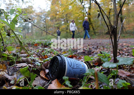 Berlin, Germany, Empty coffee mug lies in the forest in a building Stock Photo