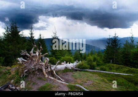 Landscape in the Vosges mountains near the col de Brézouard Stock Photo