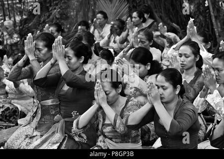 Hindu woman bring offerings to the anniversary ceremony of PURA PRAJAPATI near UBUD - BENTUYUNG SAKTI, BALI Stock Photo