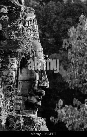 A vine grows on a  face tower of The Bayon at Angkor Thom, the largest Khmer city ever built by Jayavarman 7 & 8, are part of the Angkor Wat complex   Stock Photo