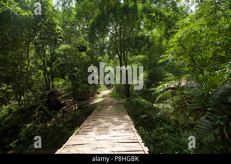 Khadimnagar National Park. Sylhet, Bangladesh. Stock Photo