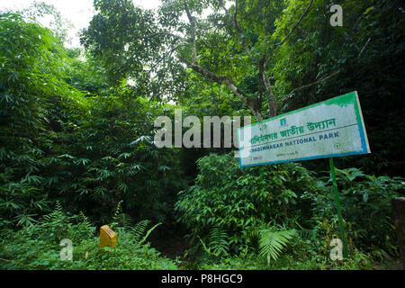 Khadimnagar National Park. Sylhet, Bangladesh. Stock Photo