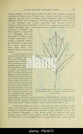 A Balaton tavának és partmellékének növényföldrajza és edényes növényzete (Page 241) BHL42989913. Stock Photo
