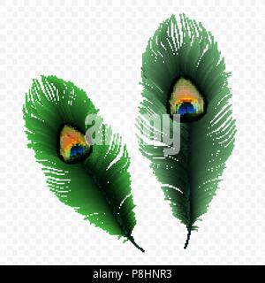 Stock vector illustration peacock feather isolated on a transparent background. EPS 10 Stock Vector