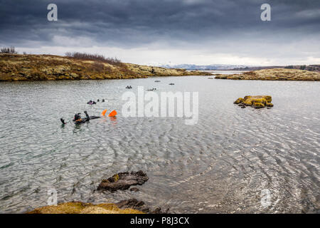 Snorkeling the Silfra Fissure in Thingvellir National Park in Iceland Stock Photo