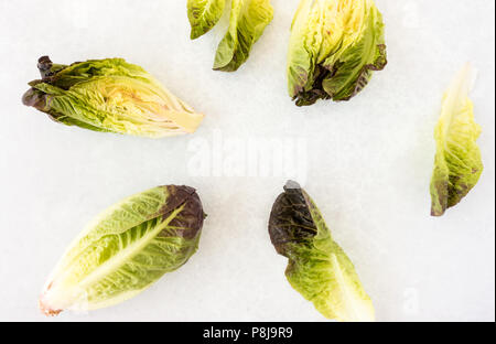 Composition of whole and halved Ruby Gem Lettuce on light gray background. Stock Photo