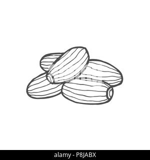 Dried fruits. Vector illustration of dates. Vector illustration Stock Vector