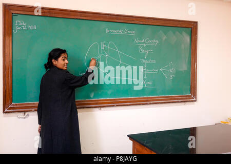 A young beautiful lady professor teaching and explaining science subject topic respiration by drawing a diagram using chalk on a chalkboard. Stock Photo
