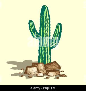 Lonely cactus illustration Stock Vector