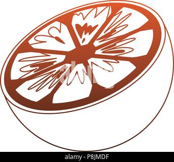 Orange fruit isolated red lines Stock Vector