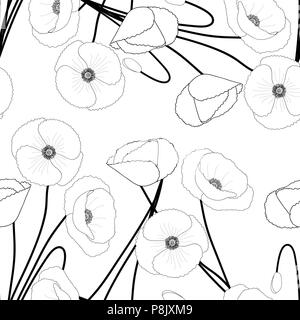 Corn Poppy on White Background. Vector Illustration. Stock Vector