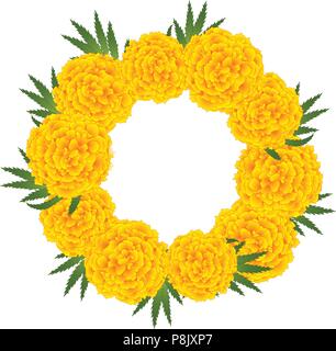 Marigold Flower - Tagetes Wreath isolated on White Background. Vector Illustration. Stock Vector