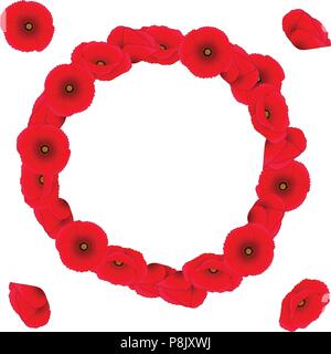 Papaver rhoeas Wreath (or common poppy,corn poppy,corn rose,field poppy,Flanders poppy or red poppy) isolated on White Background. Vector Illustration Stock Vector