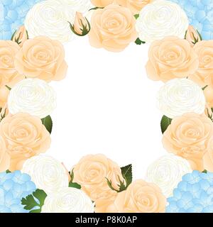 Orange Rose, Blue Hydrangea and White Ranunculus Border. isolated on White Background. Vector Illustration. Stock Vector