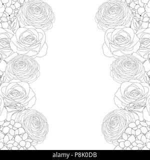Rose, Hydrangea and Ranunculus Outline Border. isolated on White Background. Vector Illustration. Stock Vector