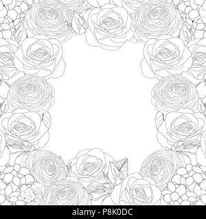 Rose, Hydrangea and Ranunculus Outline Border. isolated on White Background. Vector Illustration. Stock Vector