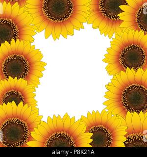 Orange Yellow Sunflower Border isolated on White Background. Vector Illustration. Stock Vector
