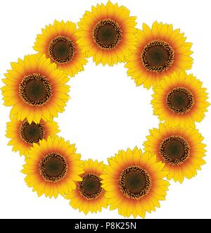 Orange Yellow Sunflower Wreath isolated on White Background. Vector Illustration. Stock Vector