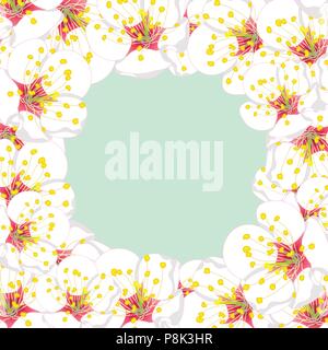 White Plum Blossom Flower Border isolated on Green Mint Background. Vector Illustration. Stock Vector