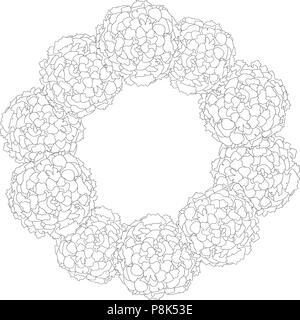 Marigold Flower Outline - Tagetes Wreath isolated on White Background. Vector Illustration. Stock Vector