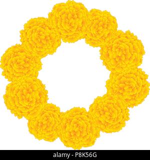 Marigold Flower - Tagetes Wreath isolated on White Background. Vector Illustration. Stock Vector