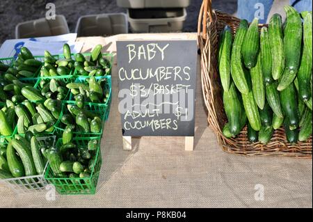 Funny 'baby' and 'adult' cucumbers displayed at farmers' market farmstand in early morning in Georgia, USA. Stock Photo