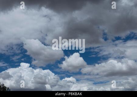 Cumulus clouds against a clean, clear blue New Mexico summertime sky Stock Photo