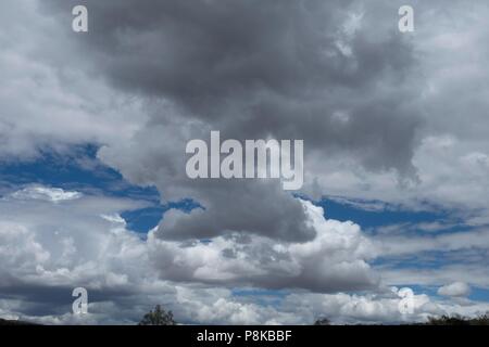 Cumulus clouds against a clean, clear blue New Mexico summertime sky Stock Photo