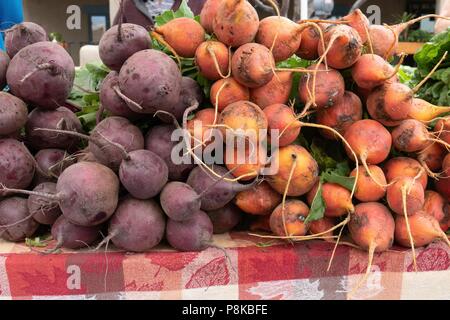 Organically grown Golden and purple beets for sale at a farmers market in Taos New Mexico Stock Photo