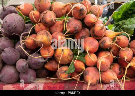 Organically grown Golden and purple beets for sale at a farmers market in Taos New Mexico Stock Photo