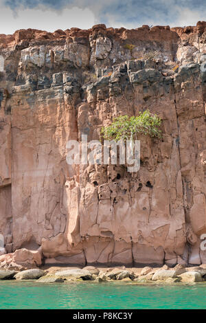 Isla Espiritu Santo, Baja California, Mexico Stock Photo