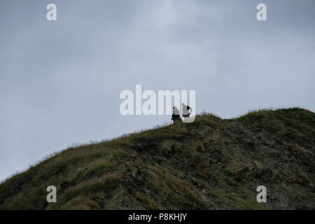 Elderly couple in the distance outlined on the hill at Ravenscar enjoying the walk and the view from the cliffs above the beach Stock Photo