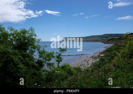 View to Ravenscar cliffs and sea through bushes from the path down to Robin Hood's Bay,Yorkshire Heritage Coast,England,UK Stock Photo