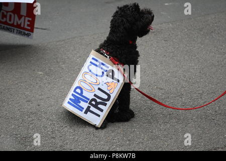 London, UK, 12 July 2018. A doggy protester outside the US Ambassador's residence in London. Roland Ravenhill/Alamy Live News Stock Photo
