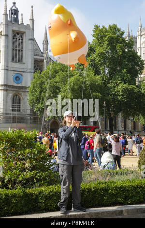 Westminster, London, 13th July 2018. A giant baby Trump balloon is seen flying over Parliament Square at the Houses of Parliament in Westminster today, as protesters gather to demonstrate against US President Donald Trump's visit to the UK. Following initial restrictions, the 6metre tall orange 'baby Trump' was given the green light to fly for a few hours, after it was crowdfunded by activists. Credit: Imageplotter News and Sports/Alamy Live News Stock Photo