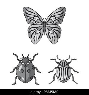 Different kinds of insects monochrome icons in set collection for design. Insect arthropod vector symbol stock  illustration. Stock Vector