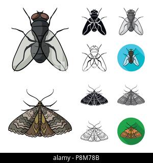 Different kinds of insects cartoon,black,flat,monochrome,outline icons in set collection for design. Insect arthropod vector symbol stock  illustratio Stock Vector