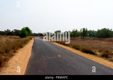 Rural road on the sides of a road surrounded by large oak trees on a hot afternoon in the summer Stock Photo