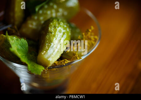 Pickled cucumbers with herbs and spices Stock Photo