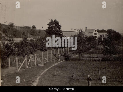 335 Hühnerhof LIND bei Villach. Stall-, Wirtschaftsgebäude und Auslaufgarten. Aufgenommen am 25. Juni 1916. (BildID 15476385) Stock Photo